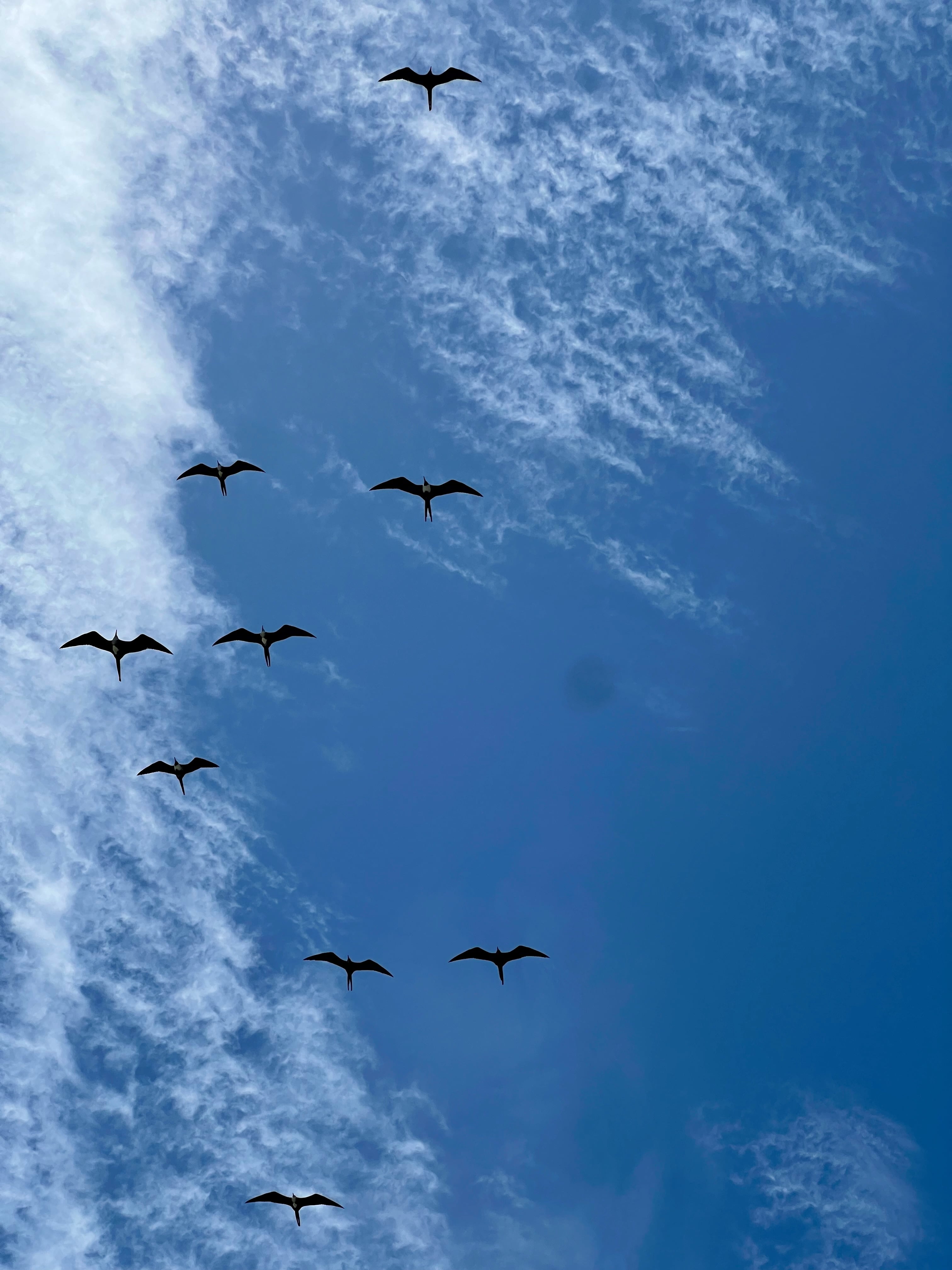 Travel photo