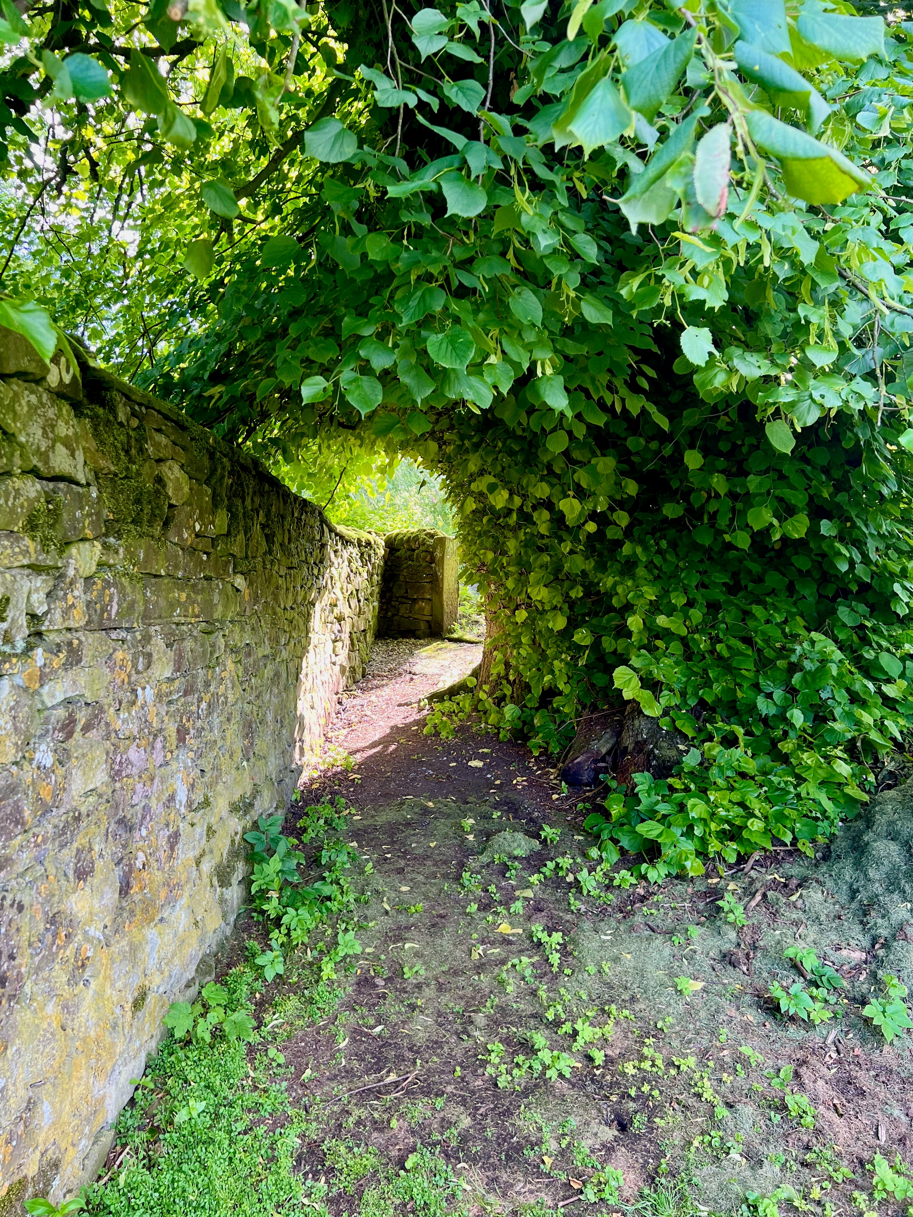 Travel photo
