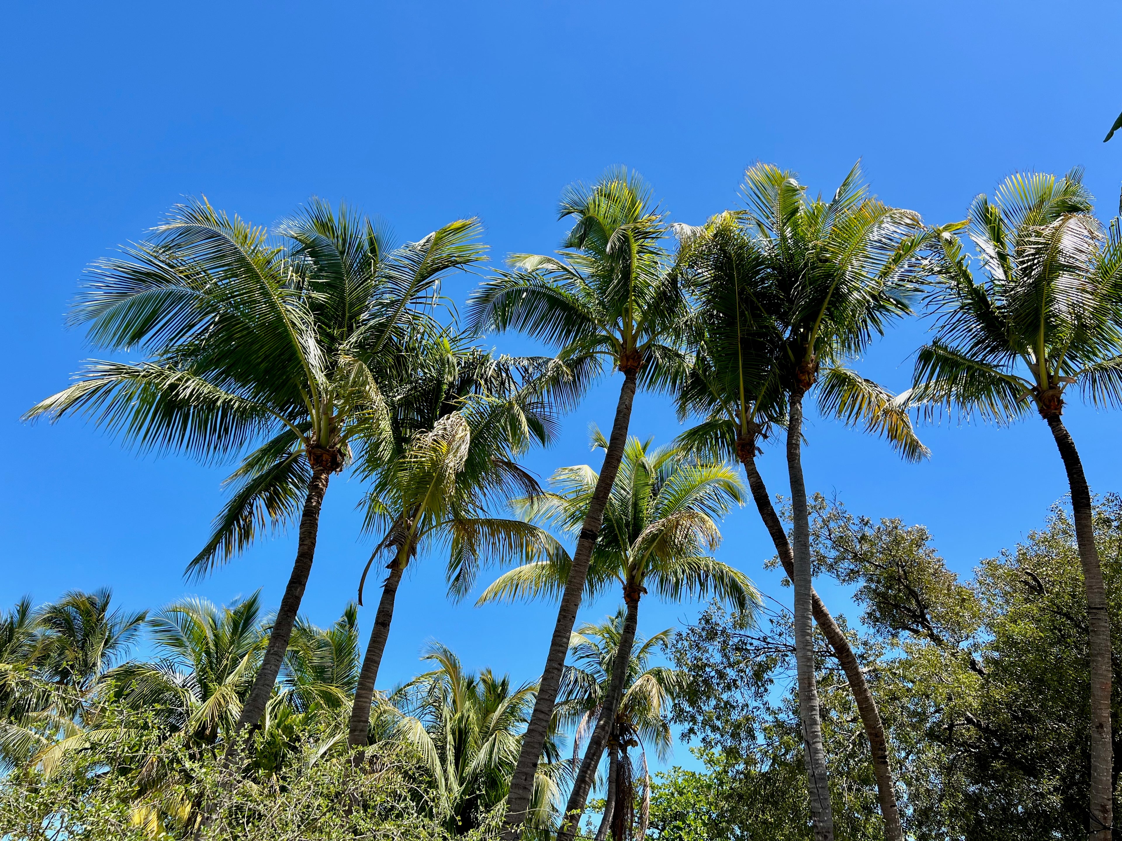 Travel photo